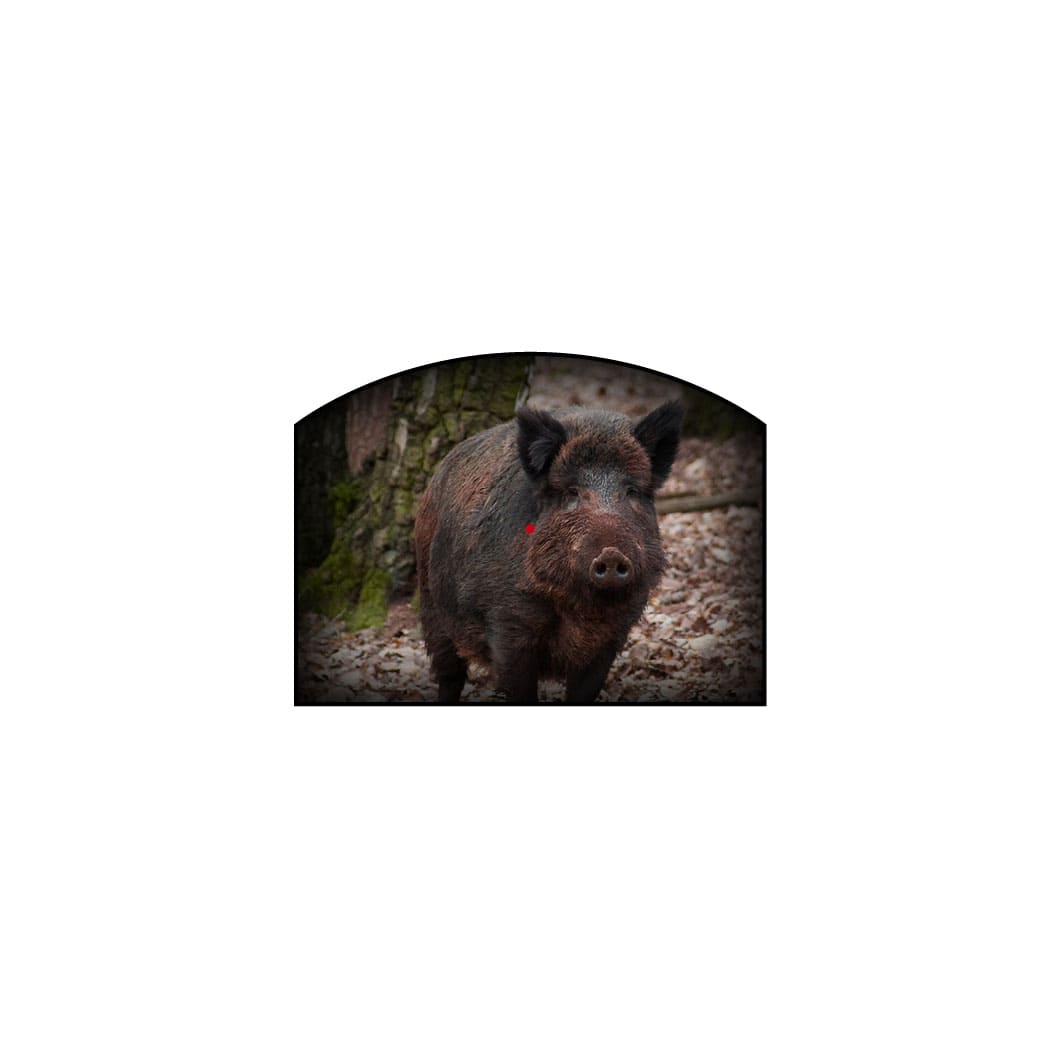 Noblex Sight II Plus Visieransicht